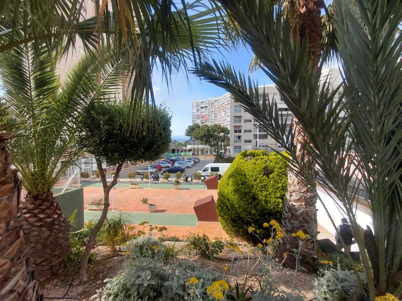 Foto 621f885c-4e72-46a2-8284-7d7b08e1a19d. Apartament amb piscina a Rincón Alto Benidorm
