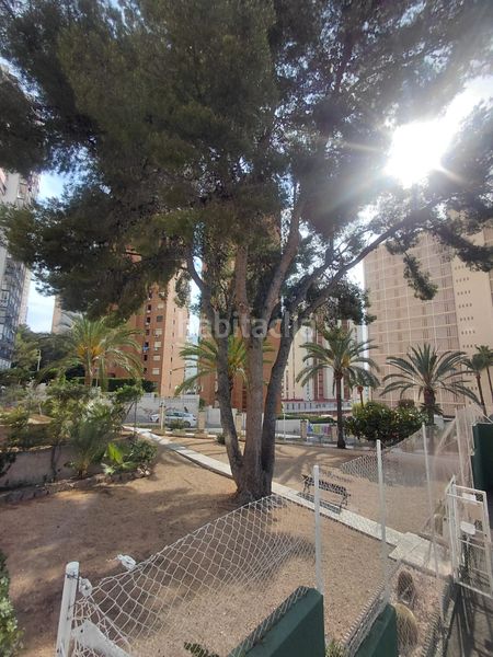 Foto a157ca13-af8d-43aa-abd9-7e3ff6a39c00. Apartament amb piscina a Rincón Alto Benidorm