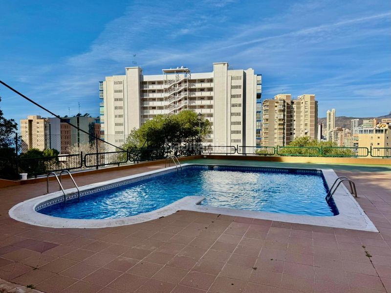 Foto 07415c35-f040-405d-97c8-2d85f126f1f8. Estudi amb aparcament piscina a Rincón Alto Benidorm