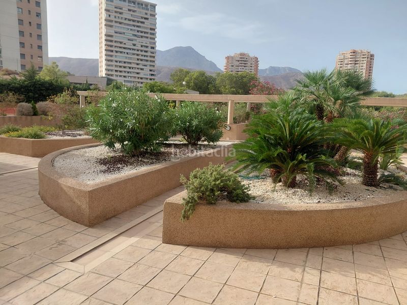 Foto 40a27084-1397-47e2-a44a-7e02961736b6. Apartament amb aparcament a Via Parque Benidorm