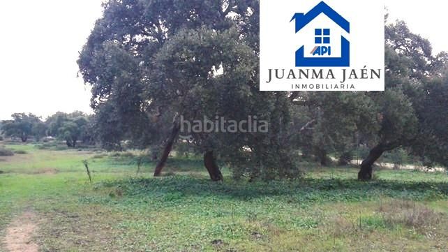 Foto fa959fdb-55ca-48fd-af4f-329148083a98. Terreno residenziale in Pelagatos - Pago del Humo Chiclana de la Frontera