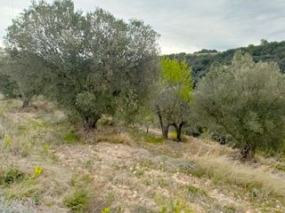 Casale in Puebla de Castro (La). Finca rustica partida de san roque  la puebla de castro