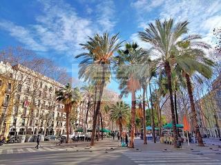 Pis  Carrer del carme