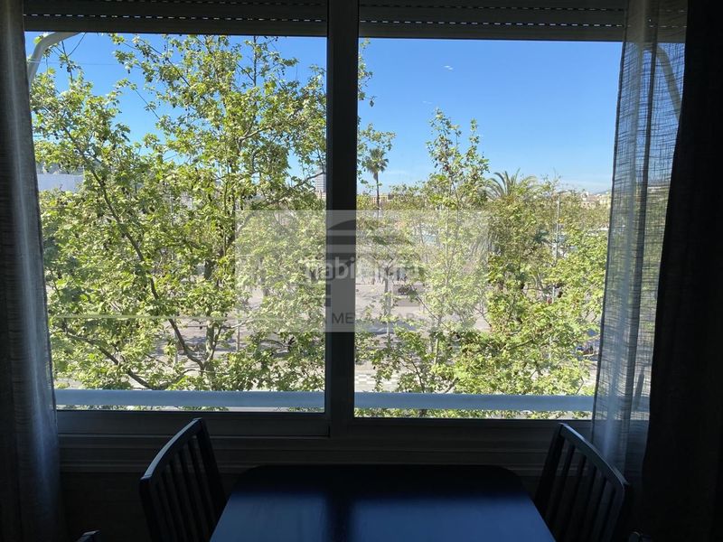 Foto 75c6ed6d-794f-490b-9eb0-16b89af6d554. Pis a Barceloneta Barcelona