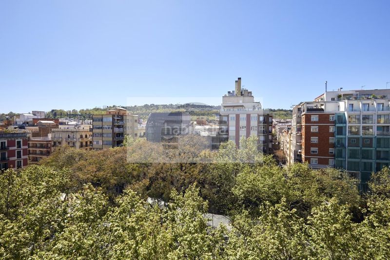 Foto 9f634bae-3a11-4047-8e54-1e0e64b6be41. Àtic a Sant Antoni Barcelona