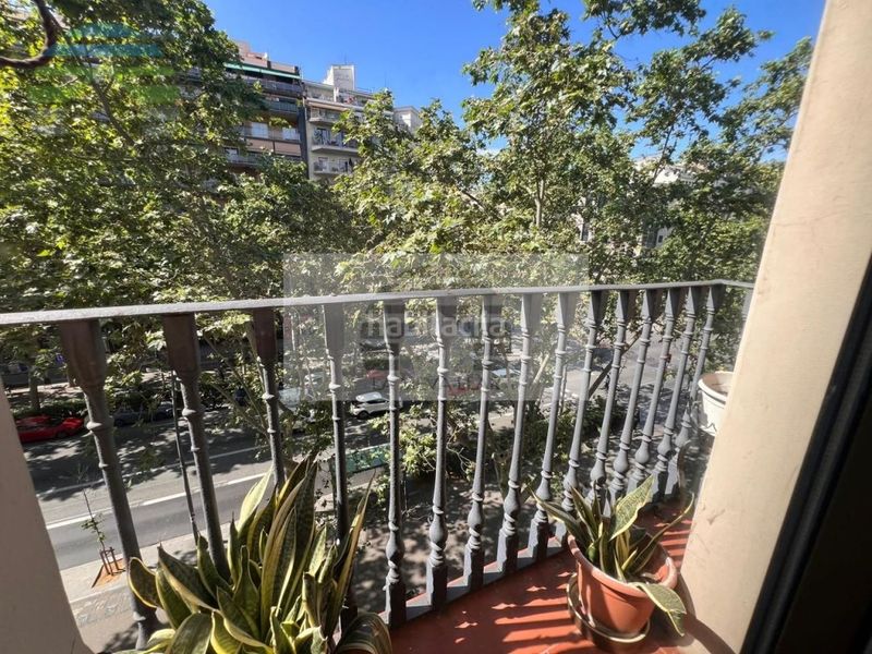 Foto a11a16cf-0584-4038-be11-eafa3af6f33d. Pis a Sant Antoni Barcelona