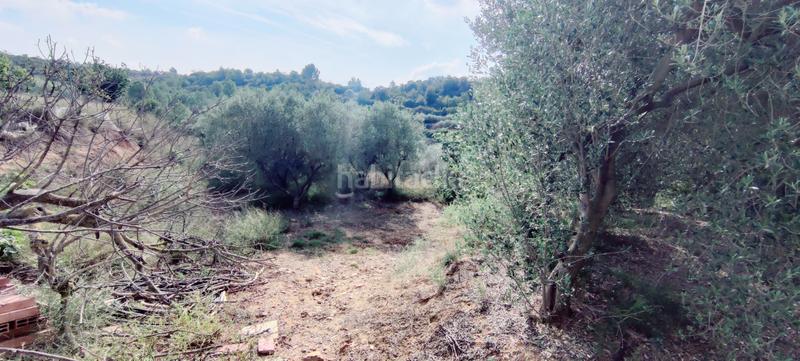 Foto 1c591b20-e795-43dd-8ffb-912f8d16afa9. Finca rústica estupenda finca. en Ullastrell