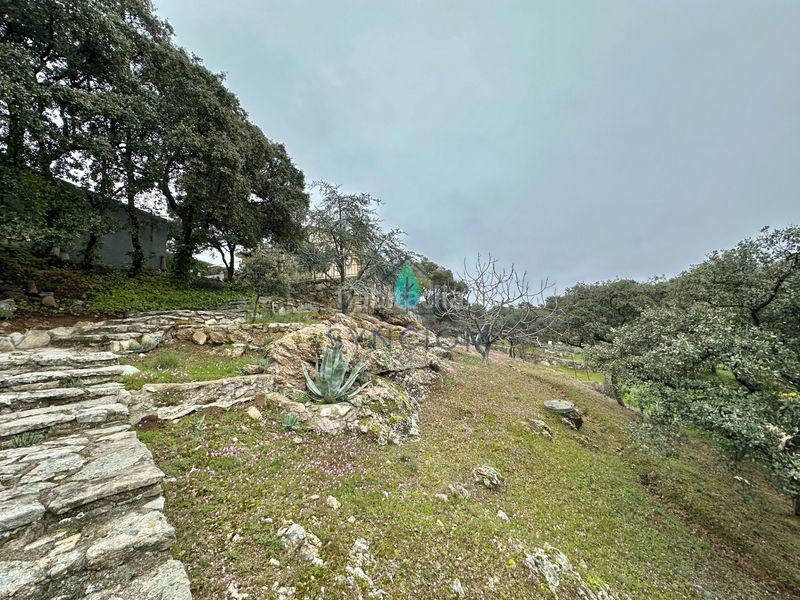 Foto d004d487-7ed0-4698-95ac-452ba852d44c. Xalet amb xemeneia calefacció aparcament piscina a Valdemorillo