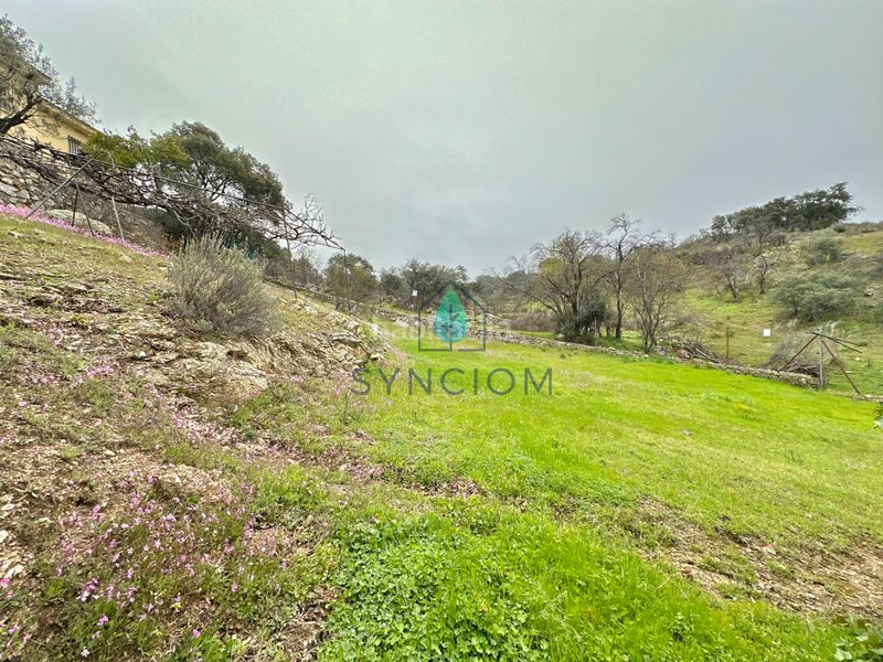 Foto d1e27493-a883-42aa-a810-af2e7b059719. Xalet amb xemeneia calefacció aparcament piscina a Valdemorillo