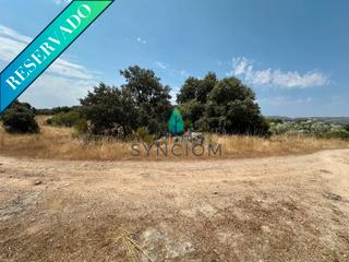 Finca rstica en Plaza de la constitucin 18. Terreno ms barato de la zona