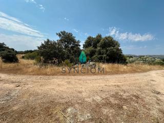 Finca rústica a Plaza de la constitución 18. Terreno más barato de la zona