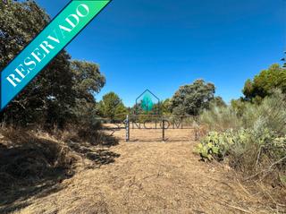 Fondo rustico in Calle castillo de turégano 1. Oportunidad de inversión en valdemorillo – finca rústica con pro