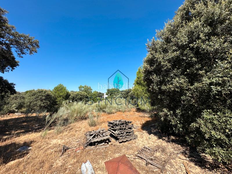 Foto 01147d0a-2ee6-4af2-8076-50ab5cc2e034. Fondo rustico in calle castillo de turégano 1 in Cerro Alarcón Valdemorillo