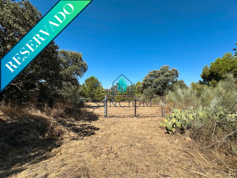 Foto 06aacd4e-50fb-4ceb-8941-ec5025707f82. Fondo rustico in calle castillo de turégano 1 in Cerro Alarcón Valdemorillo