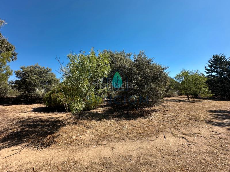 Foto 102821ca-681a-4907-bca9-4fad375710d6. Fondo rustico in calle castillo de turégano 1 in Cerro Alarcón Valdemorillo