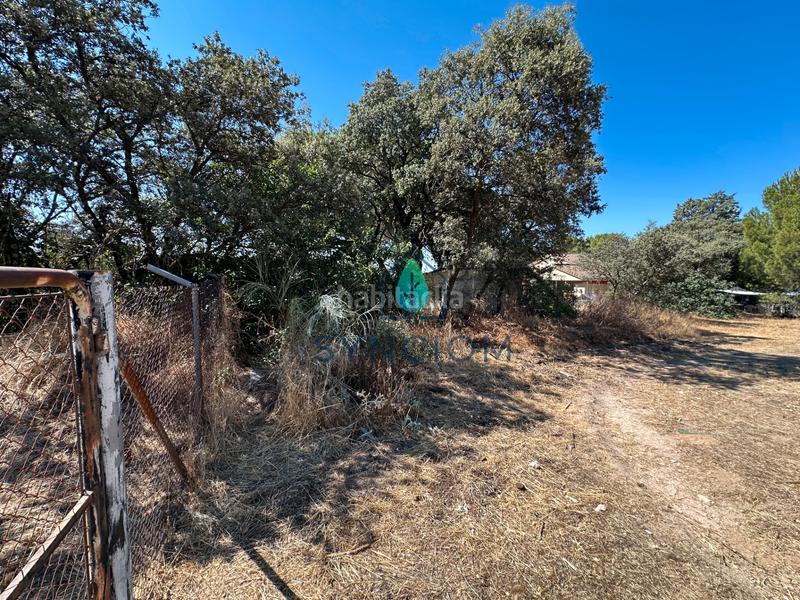 Foto 14453f97-b89a-4ae6-a4d6-81d9acb420ce. Fondo rustico in calle castillo de turégano 1 in Cerro Alarcón Valdemorillo