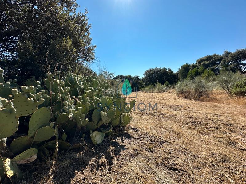 Foto 23ed20eb-46cd-4757-bcc9-33df1923a87b. Fondo rustico in calle castillo de turégano 1 in Cerro Alarcón Valdemorillo