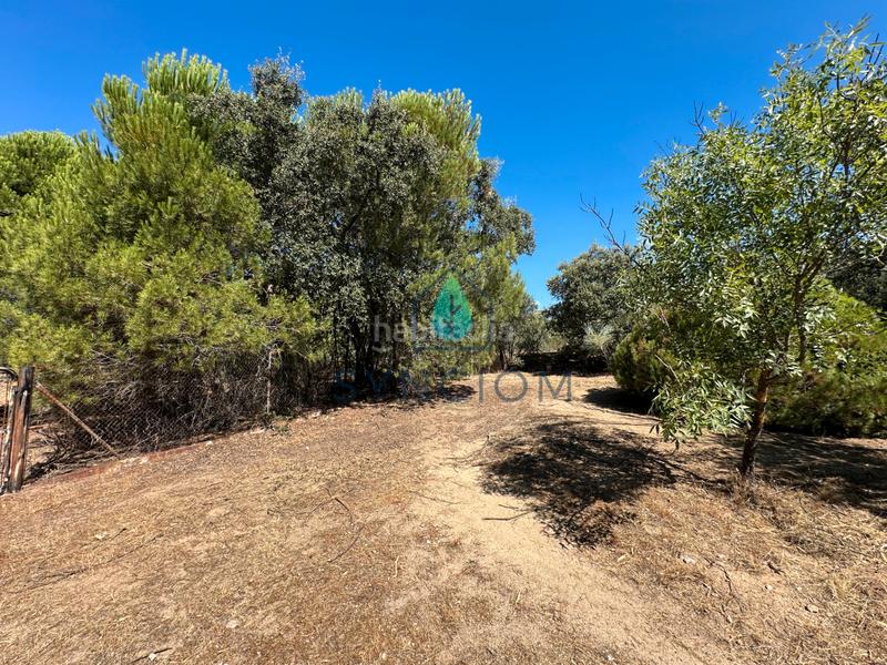 Foto 3776fdee-613b-4829-acae-f53cfb5e4494. Fondo rustico in calle castillo de turégano 1 in Cerro Alarcón Valdemorillo