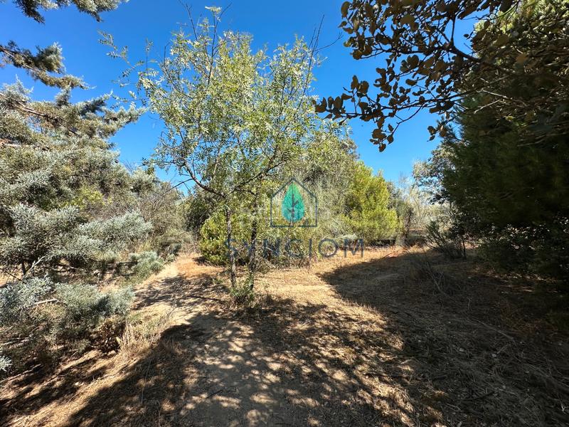 Foto 3ba2c986-7e30-4f07-9eb4-e65b27abbd12. Fondo rustico in calle castillo de turégano 1 in Cerro Alarcón Valdemorillo