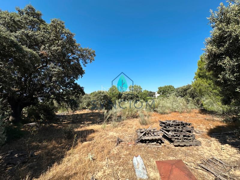 Foto 3e8d2bdd-27b7-49b2-8461-a9fb871a4755. Fondo rustico in calle castillo de turégano 1 in Cerro Alarcón Valdemorillo