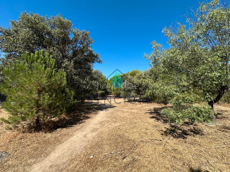 Foto 3f161d89-0ff7-4371-9dbd-c3223cd550ba. Fondo rustico in calle castillo de turégano 1 in Cerro Alarcón Valdemorillo