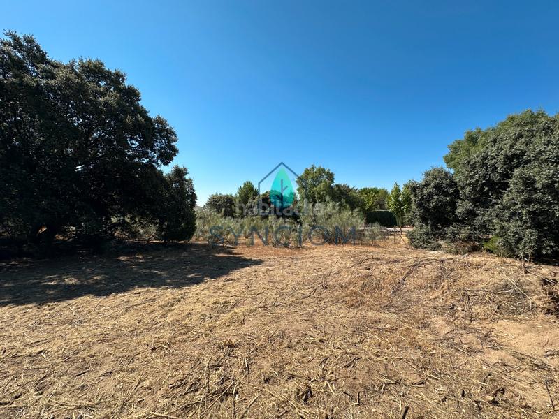 Foto 4d9e7bf9-a94e-478a-963b-1c2db45a0249. Fondo rustico in calle castillo de turégano 1 in Cerro Alarcón Valdemorillo