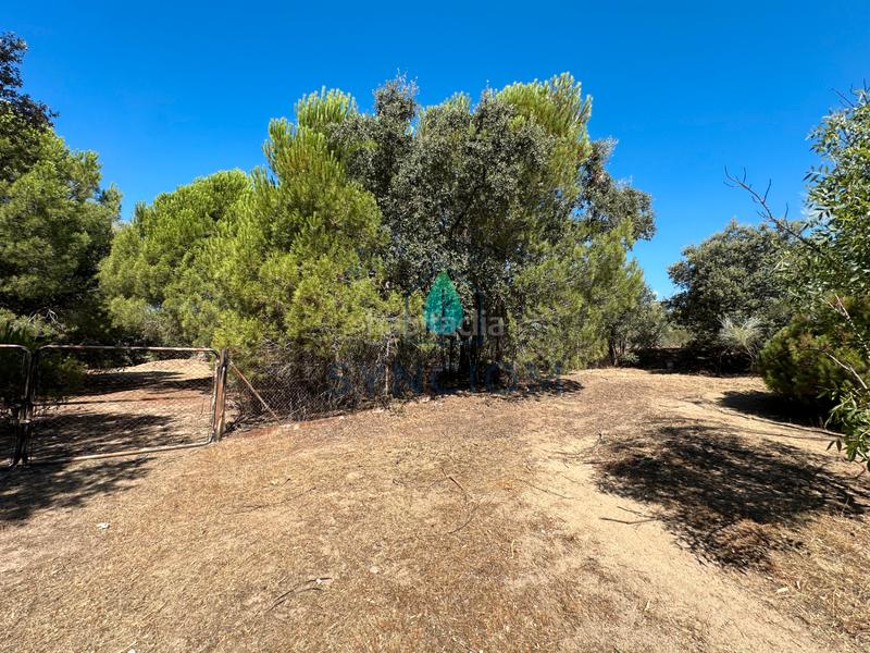 Foto 4f928dad-bd0b-42d8-8273-bd5cc1bdb8e4. Fondo rustico in calle castillo de turégano 1 in Cerro Alarcón Valdemorillo