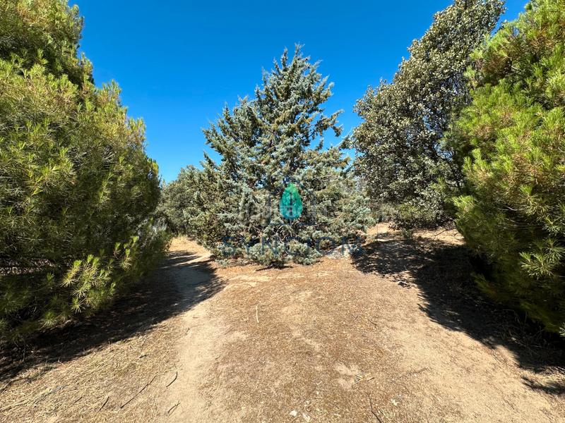 Foto 54323853-69f9-434f-9eb5-d6e61d0010b4. Fondo rustico in calle castillo de turégano 1 in Cerro Alarcón Valdemorillo