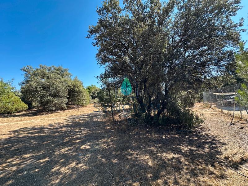 Foto 58b4a93b-a42d-469f-b790-490d806acaee. Fondo rustico in calle castillo de turégano 1 in Cerro Alarcón Valdemorillo