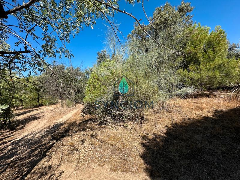 Foto 5e7e028c-f6a0-46b5-be9c-1f185fdee278. Fondo rustico in calle castillo de turégano 1 in Cerro Alarcón Valdemorillo