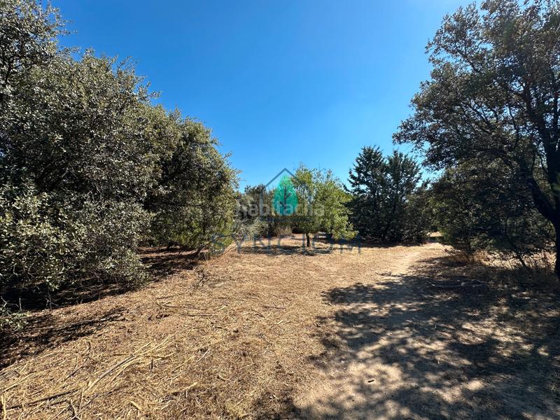 Foto 69906445-638d-47d1-a607-8277c7c3b80e. Fondo rustico in calle castillo de turégano 1 in Cerro Alarcón Valdemorillo