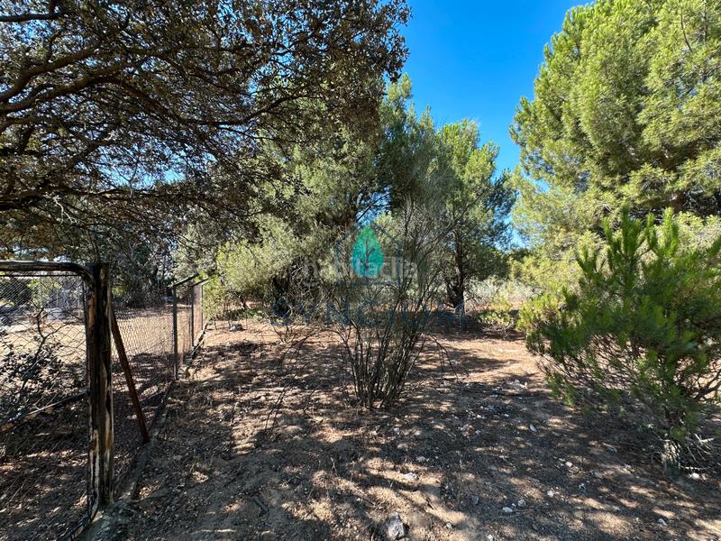 Foto 72d574b4-3bdd-4357-8cf8-4a0b4b19b8ba. Fondo rustico in calle castillo de turégano 1 in Cerro Alarcón Valdemorillo