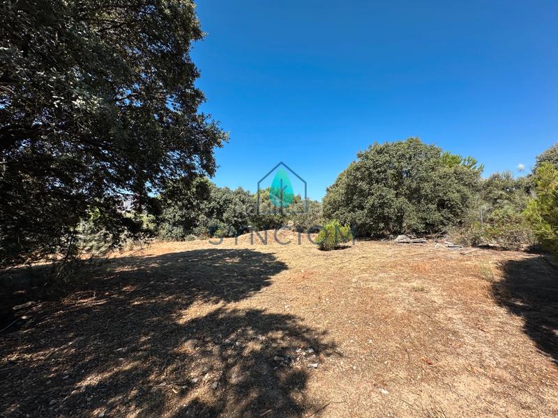 Foto 7670ac63-c3e2-41ae-a0e3-b17e19a336dd. Fondo rustico in calle castillo de turégano 1 in Cerro Alarcón Valdemorillo