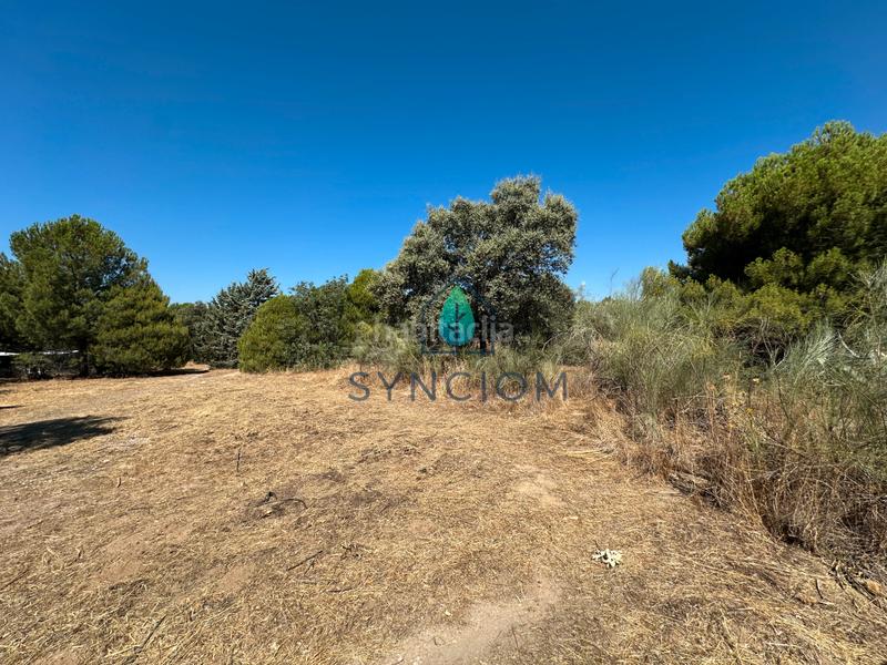 Foto 7ef328f8-cd6b-4ce3-8399-85149b3e8ab7. Fondo rustico in calle castillo de turégano 1 in Cerro Alarcón Valdemorillo