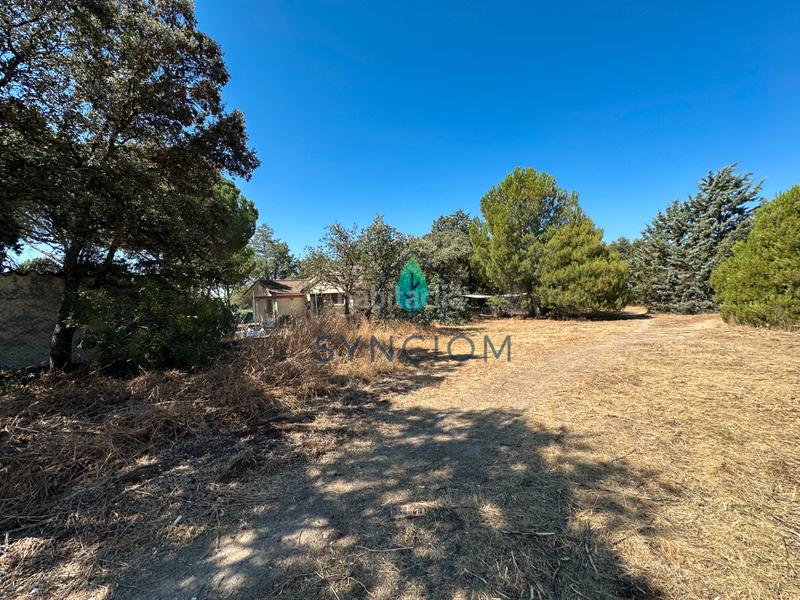 Foto 83fe59d1-da3e-4c95-a2b3-e2966c4162bf. Fondo rustico in calle castillo de turégano 1 in Cerro Alarcón Valdemorillo