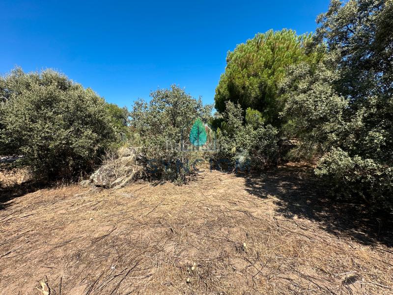 Foto 8abfbc62-8a7b-428c-a030-d6ebf2cb60d7. Fondo rustico in calle castillo de turégano 1 in Cerro Alarcón Valdemorillo