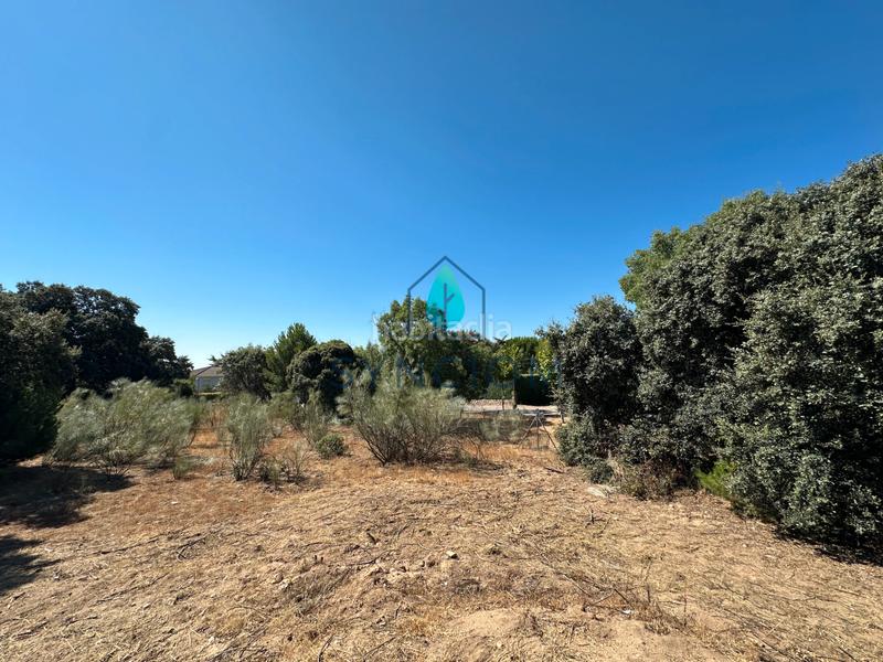 Foto 8ac30992-5936-4d02-95fa-29e1163f2837. Fondo rustico in calle castillo de turégano 1 in Cerro Alarcón Valdemorillo