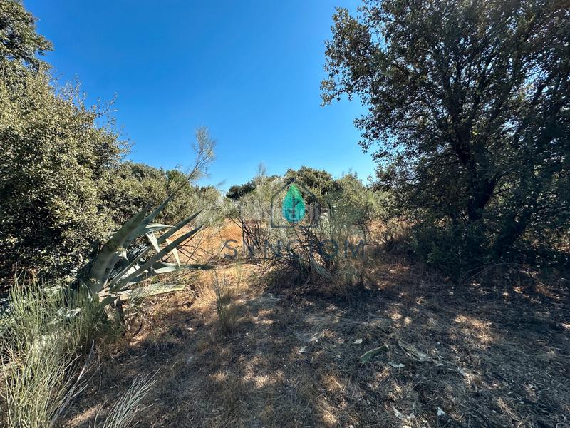 Foto 8c732661-a2a5-49cb-86c7-34fbe3a55a0e. Fondo rustico in calle castillo de turégano 1 in Cerro Alarcón Valdemorillo