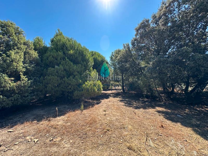 Foto 9028a8ec-0da1-4542-9151-ffeec33d0833. Fondo rustico in calle castillo de turégano 1 in Cerro Alarcón Valdemorillo