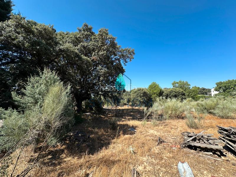 Foto 93f59654-07a8-421a-a5ab-e96c367f95b6. Fondo rustico in calle castillo de turégano 1 in Cerro Alarcón Valdemorillo