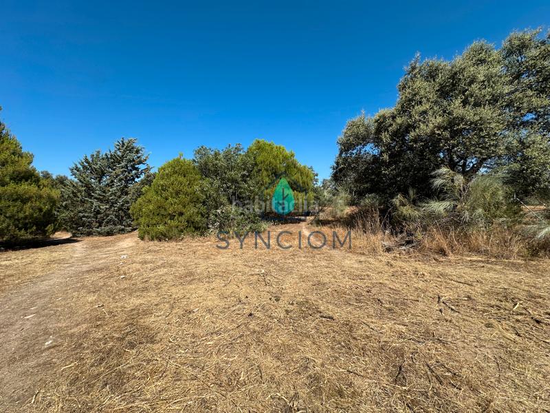 Foto 9961231f-8ee6-4abb-ac7c-8cd34483e5d2. Fondo rustico in calle castillo de turégano 1 in Cerro Alarcón Valdemorillo