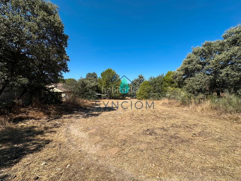 Foto ab8e9251-2f6d-4675-ac74-b0ddd6c0cb9d. Fondo rustico in calle castillo de turégano 1 in Cerro Alarcón Valdemorillo