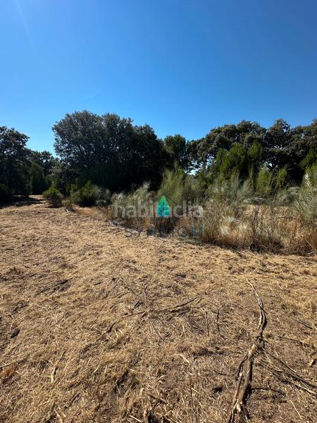 Foto bc5781a2-6df2-4483-8f1a-9518c153aeec. Fondo rustico in calle castillo de turégano 1 in Cerro Alarcón Valdemorillo