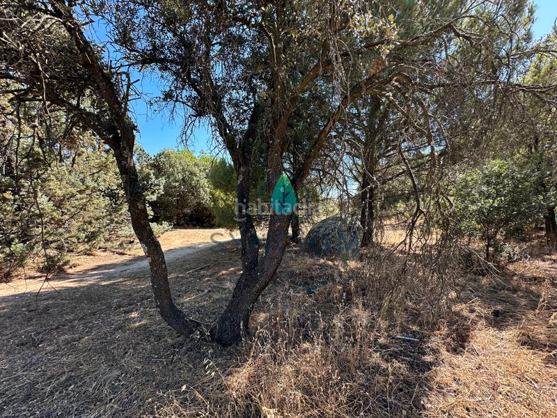 Foto bdb81cf8-21d5-489c-b7bb-951ea49b4fc6. Fondo rustico in calle castillo de turégano 1 in Cerro Alarcón Valdemorillo