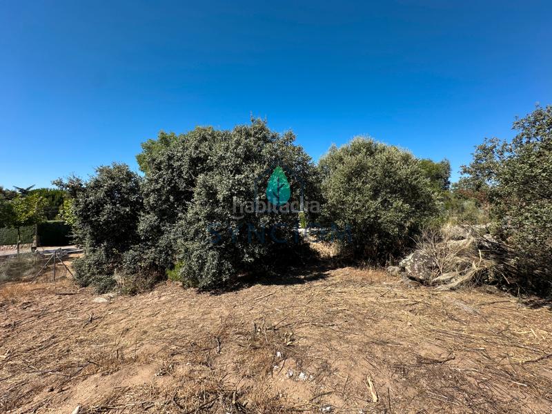 Foto c31e7e23-ab1a-4345-99da-bc15eb696f66. Fondo rustico in calle castillo de turégano 1 in Cerro Alarcón Valdemorillo