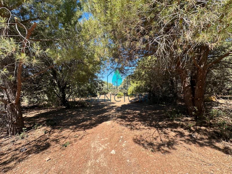Foto c4fb0943-05bf-44ae-a178-736bb2a296c1. Fondo rustico in calle castillo de turégano 1 in Cerro Alarcón Valdemorillo