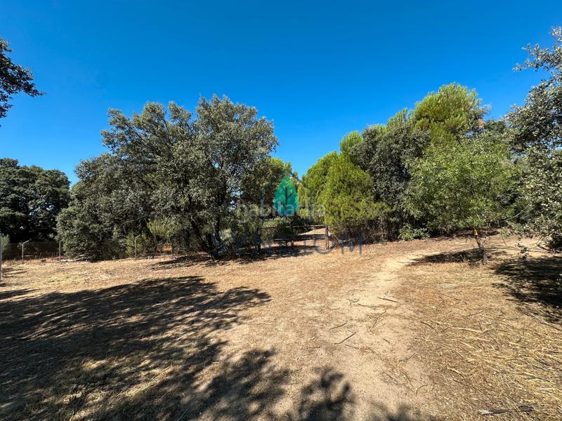 Foto cff9423b-01ed-4993-a812-383e7ac36340. Fondo rustico in calle castillo de turégano 1 in Cerro Alarcón Valdemorillo