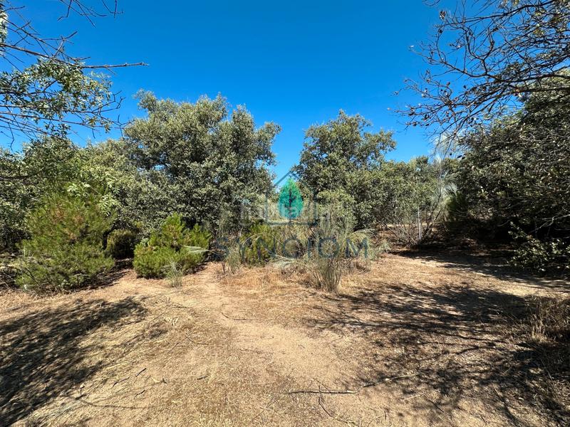 Foto d457795e-4c04-43eb-92e6-8c89f3da7ee2. Fondo rustico in calle castillo de turégano 1 in Cerro Alarcón Valdemorillo