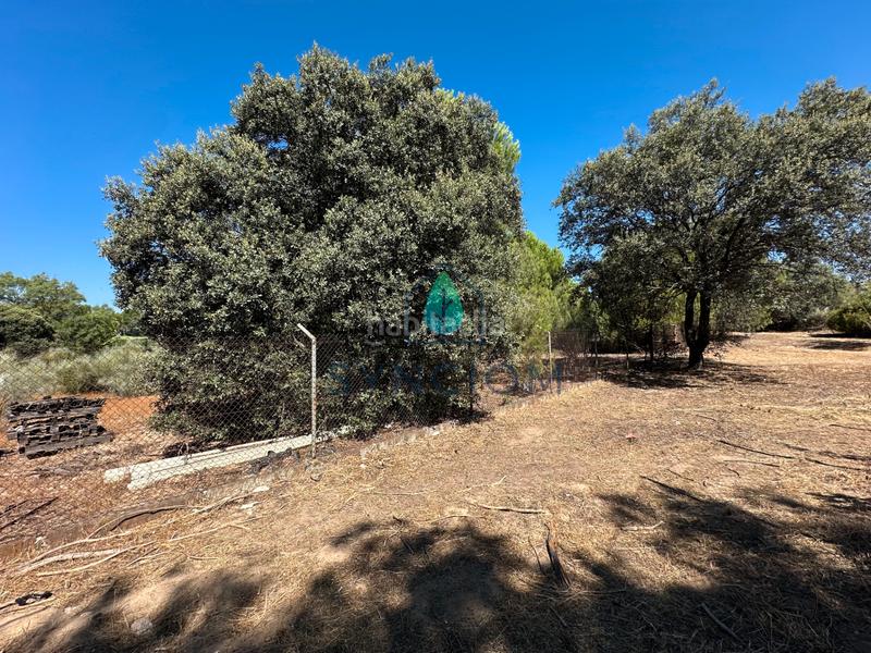 Foto db0a5dce-52d4-4c13-b1c2-26d98bd8fccf. Fondo rustico in calle castillo de turégano 1 in Cerro Alarcón Valdemorillo