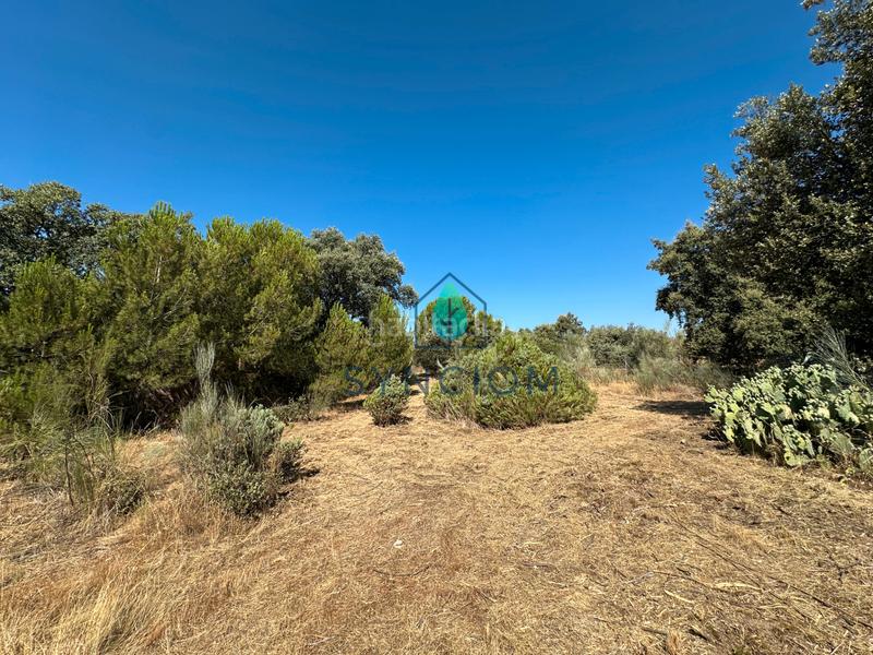 Foto e070a5d8-f4c2-4665-954a-3e1f02790b60. Fondo rustico in calle castillo de turégano 1 in Cerro Alarcón Valdemorillo